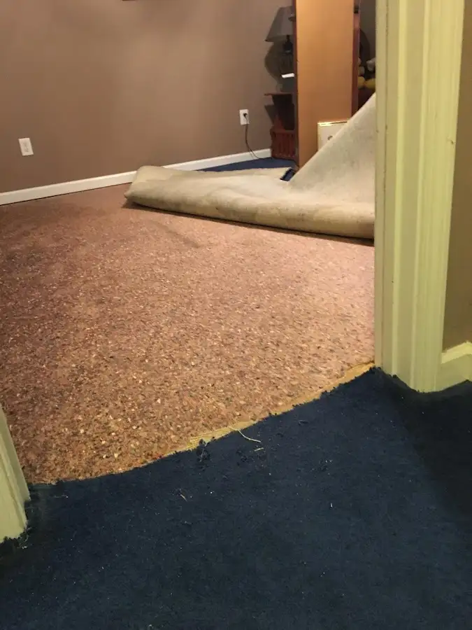 Carpet pad removal revealing water damage during Drying & Dehumidification in Kinross