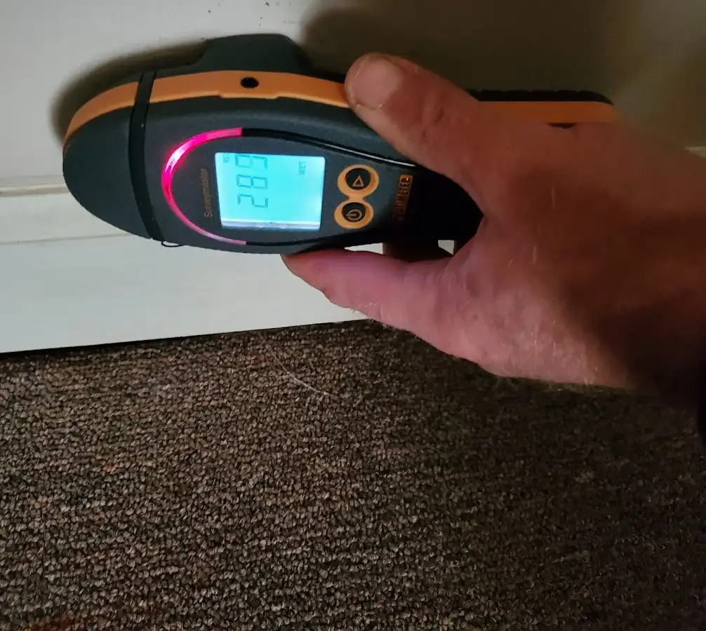 Moisture detection at baseboard during Sewage Cleanup & Sanitation in Kinross